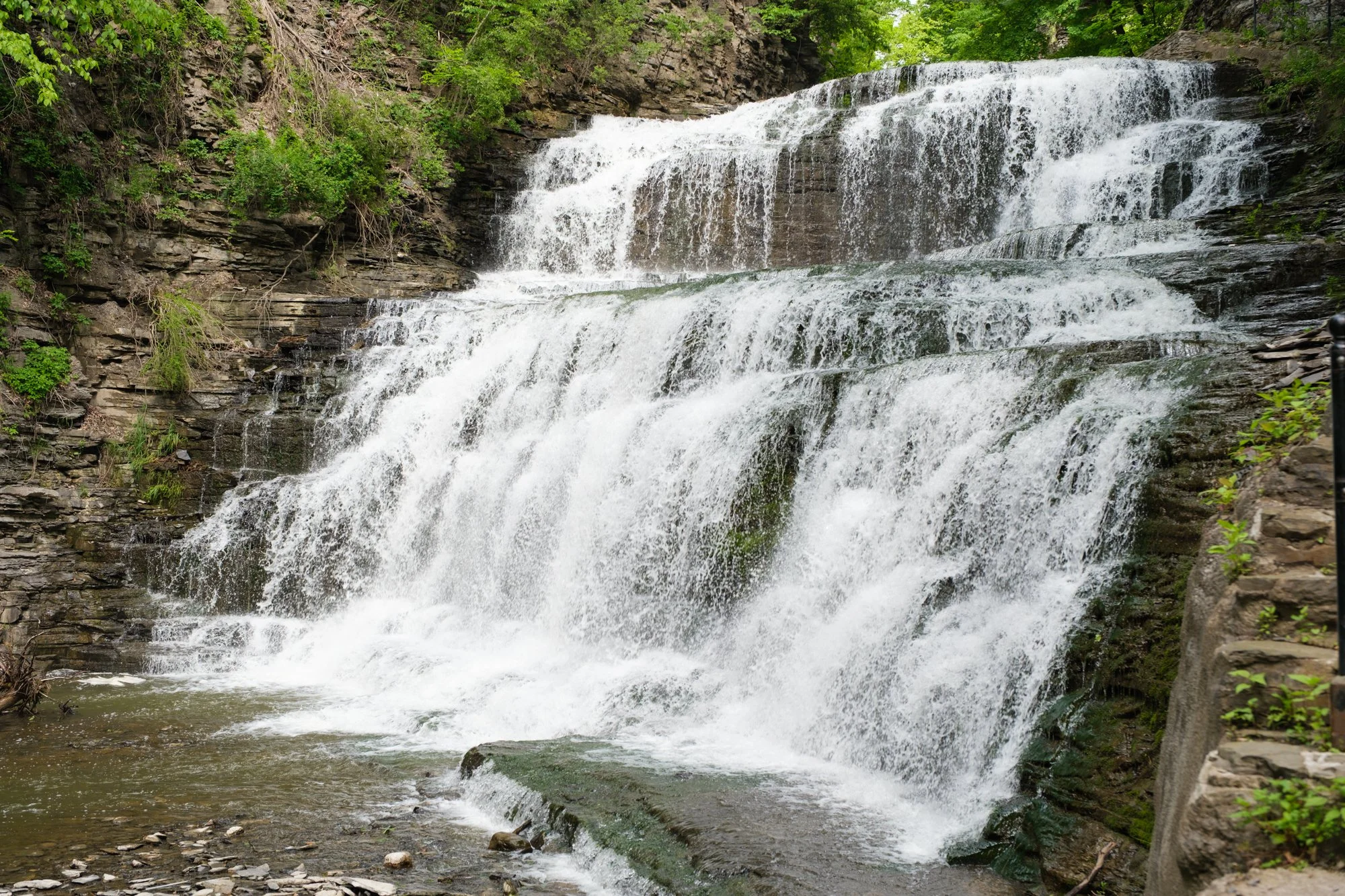 DSCF2590.jpg