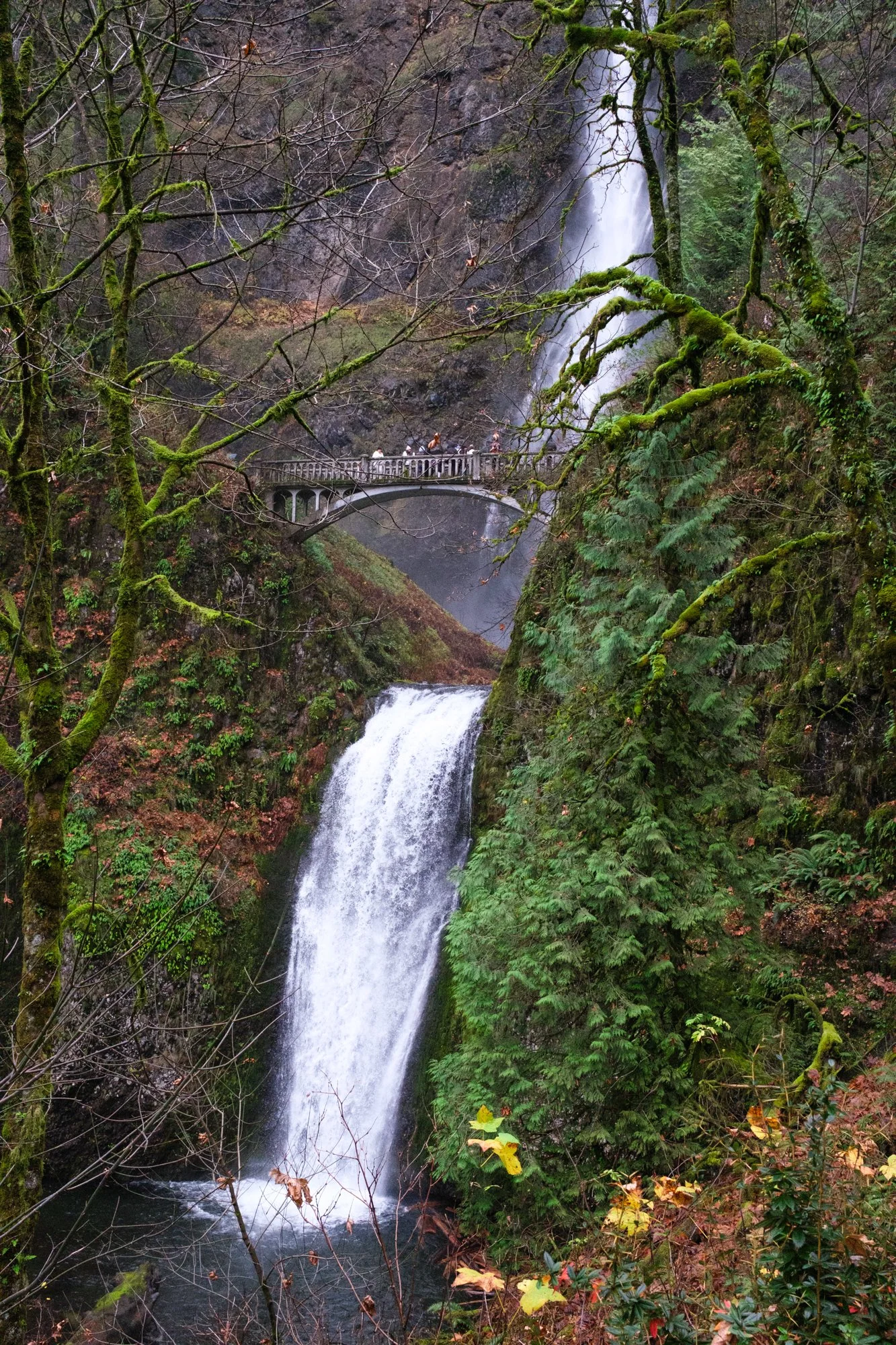 DSCF0015-2.jpg