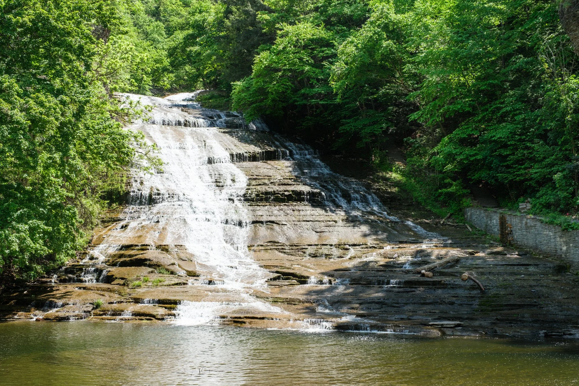 DSCF2613.jpg