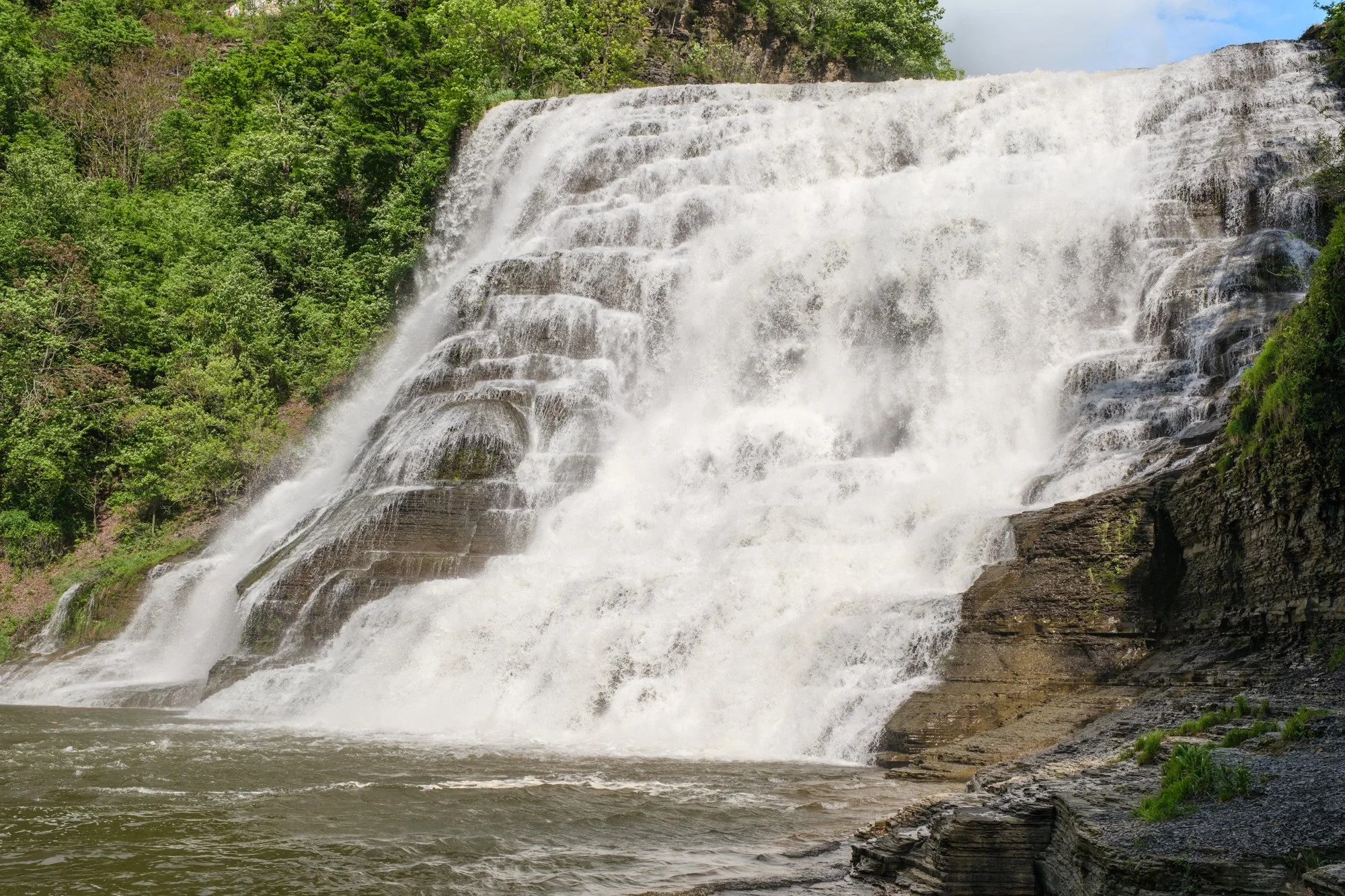 DSCF2598.jpg