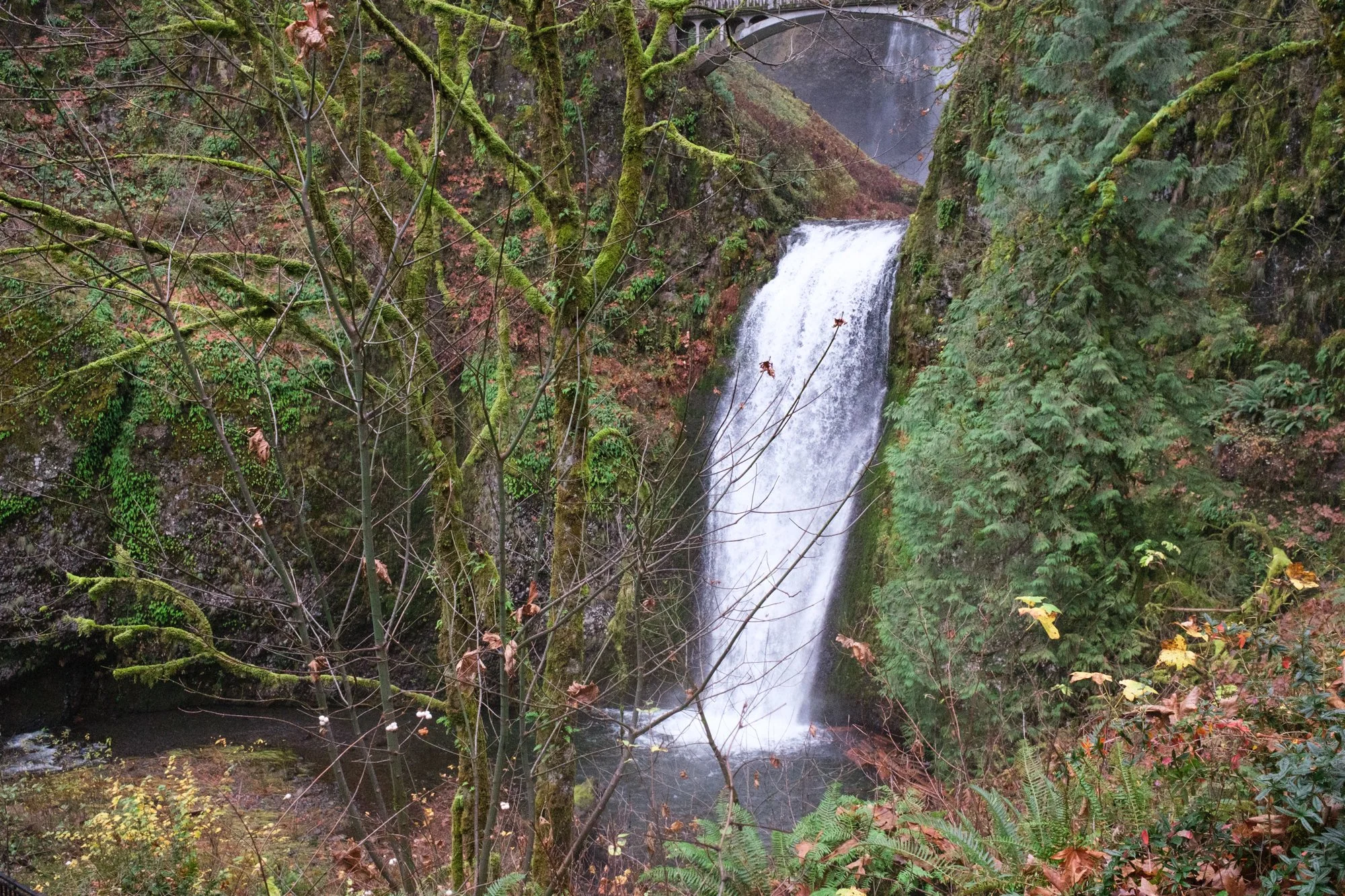 DSCF0031-2.jpg
