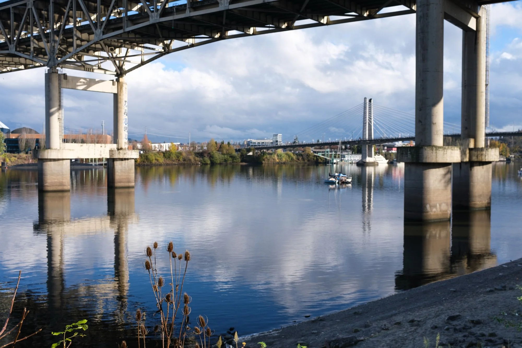 DSCF0036-2.jpg