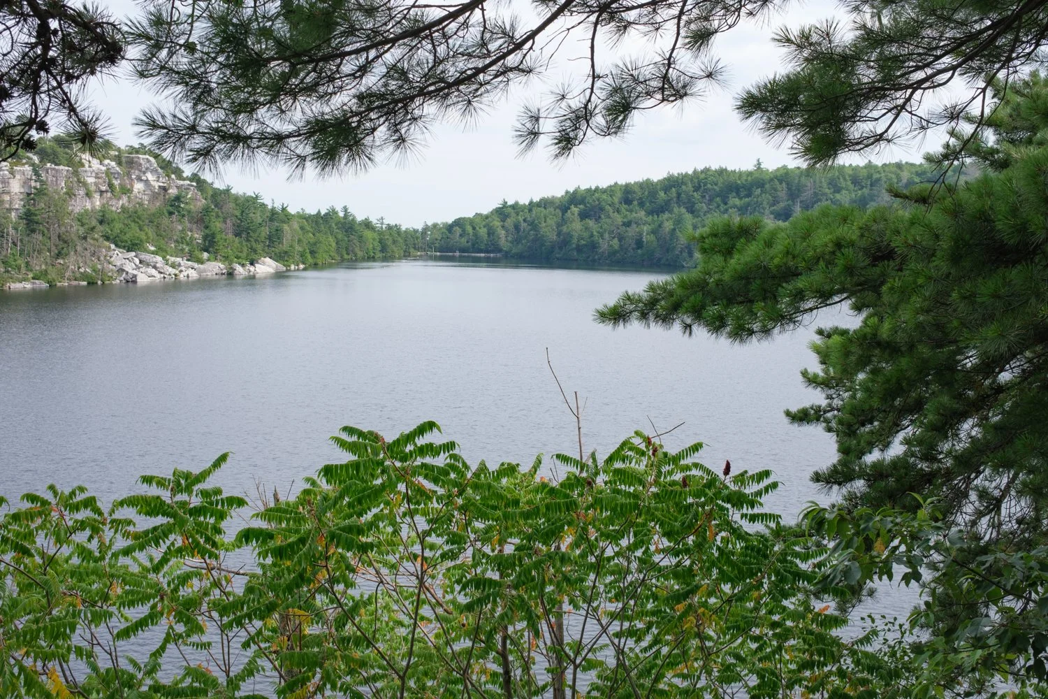 DSCF0153.jpg