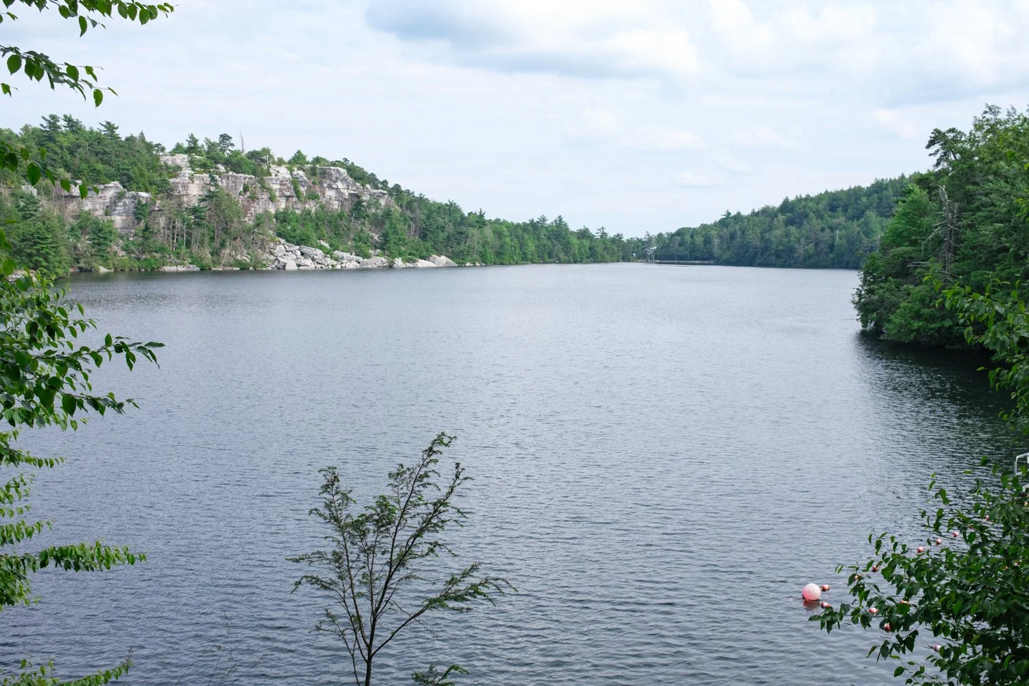 DSCF0159-2.jpg