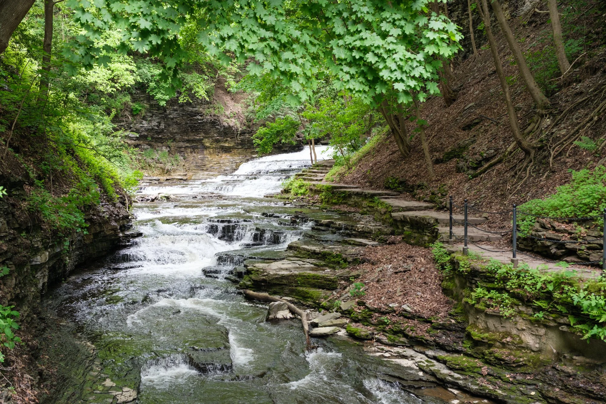 DSCF2577.jpg