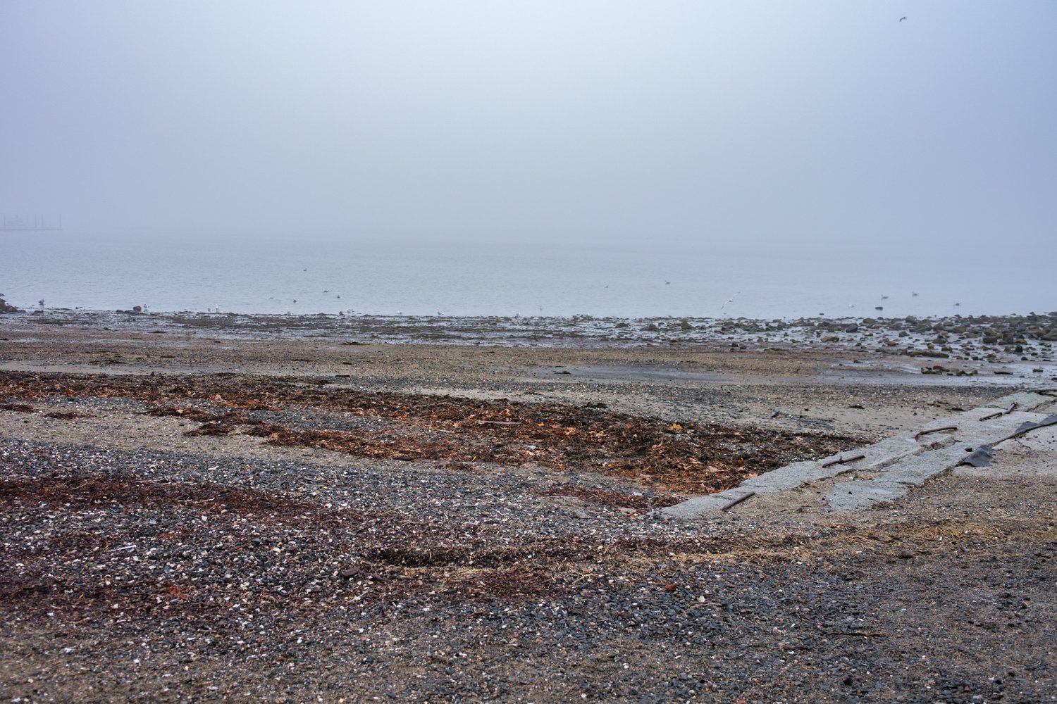 DSCF3412.jpg
