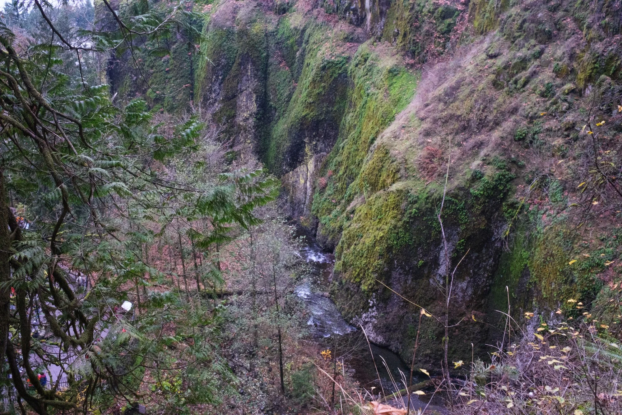 DSCF0029-2.jpg