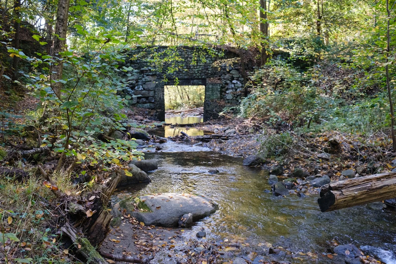 DSCF0474.jpg