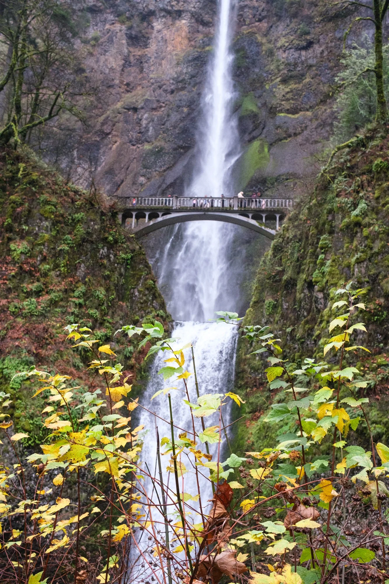DSCF0008-2.jpg