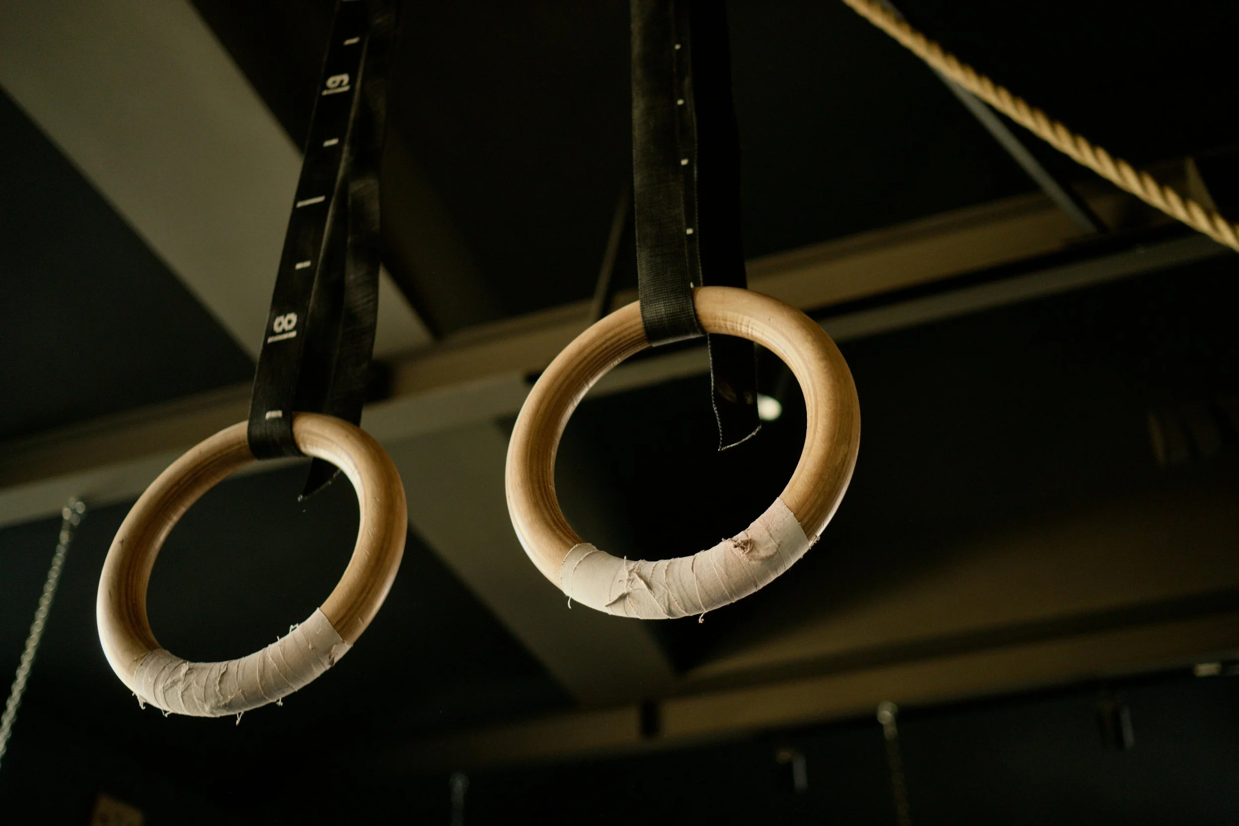 Gymnastic rings hanging in the gym.
