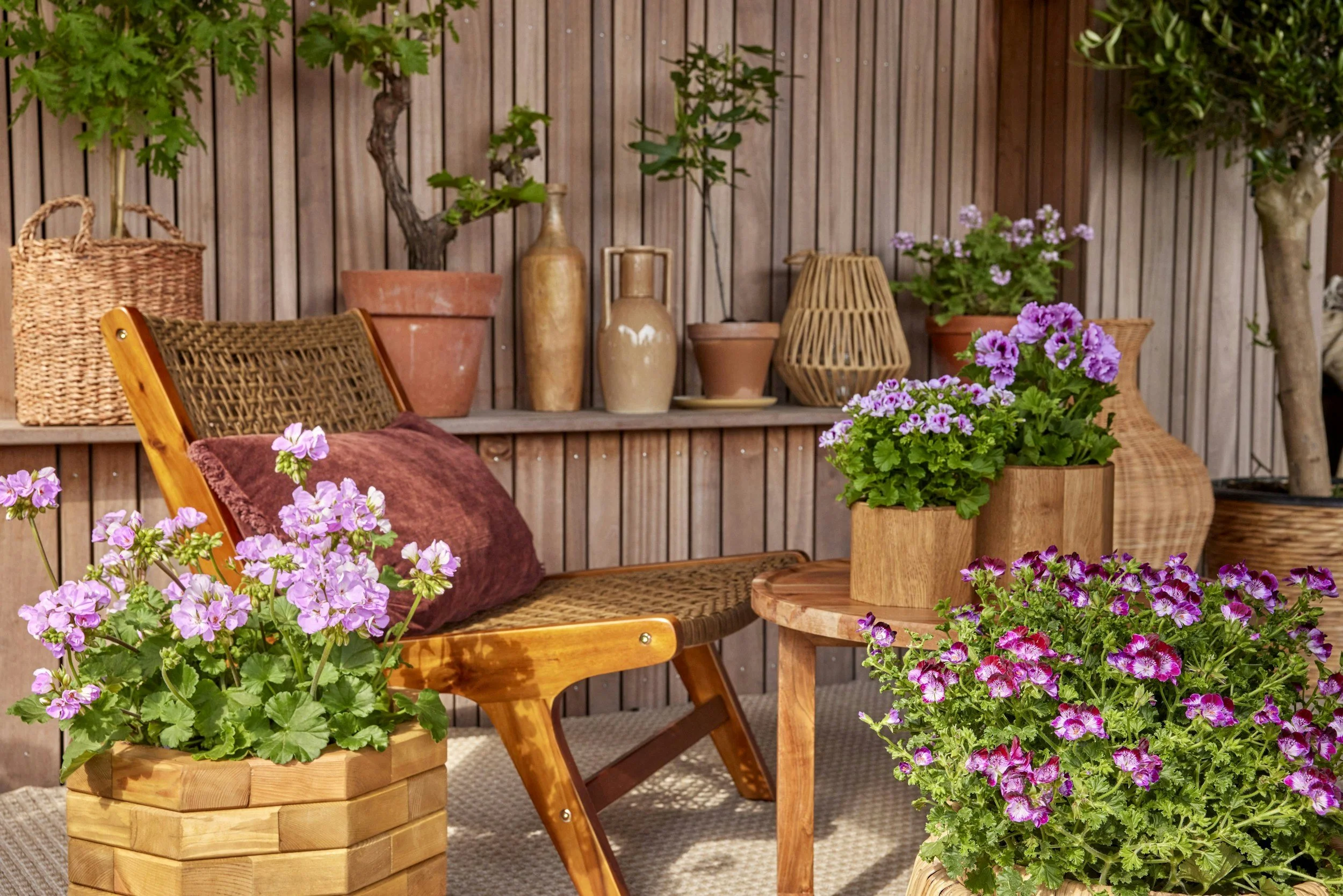 Garden Rooms vs Extensions: What’s Right for Your Home?