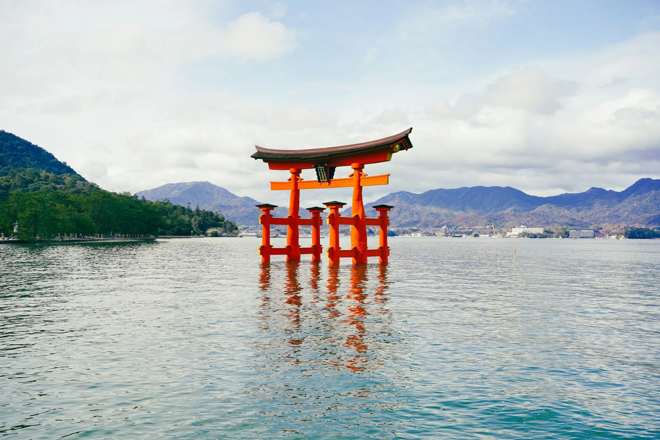 Exploring the Underwater Beauty of Southern Japan