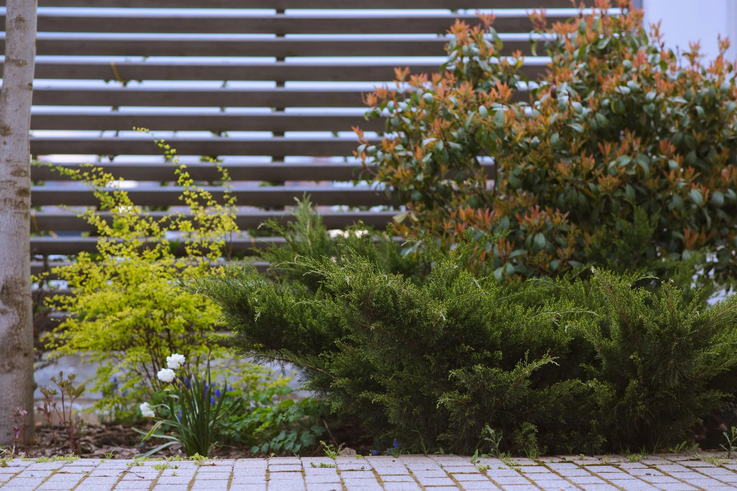 Simple Landscaping Ideas for Busy Homeowners