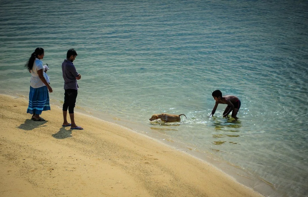 What Families Should Know About Dog Bite Injuries and Recovery