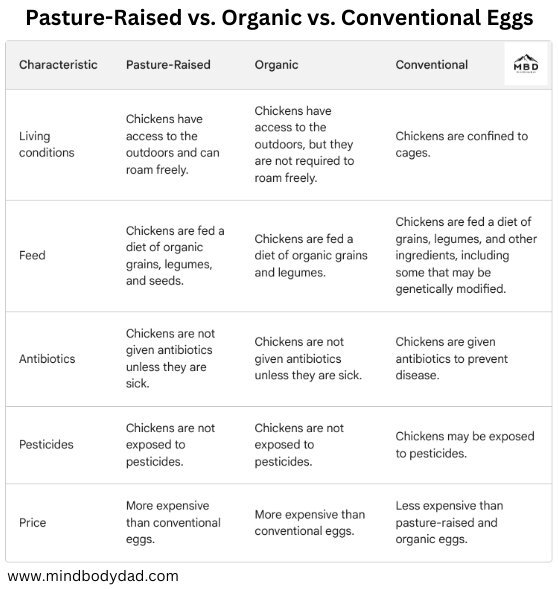 Organic vs. Free Range Eggs, 5 Differences