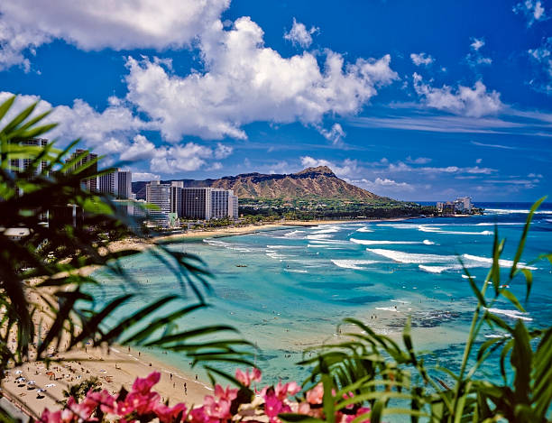 Why Waikiki Is the Perfect Place to Experience the Magic of Surfing