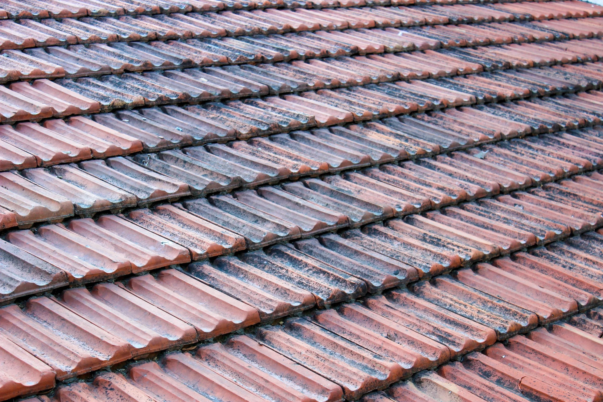 Preventing Costly Damage With Routine Roof Maintenance