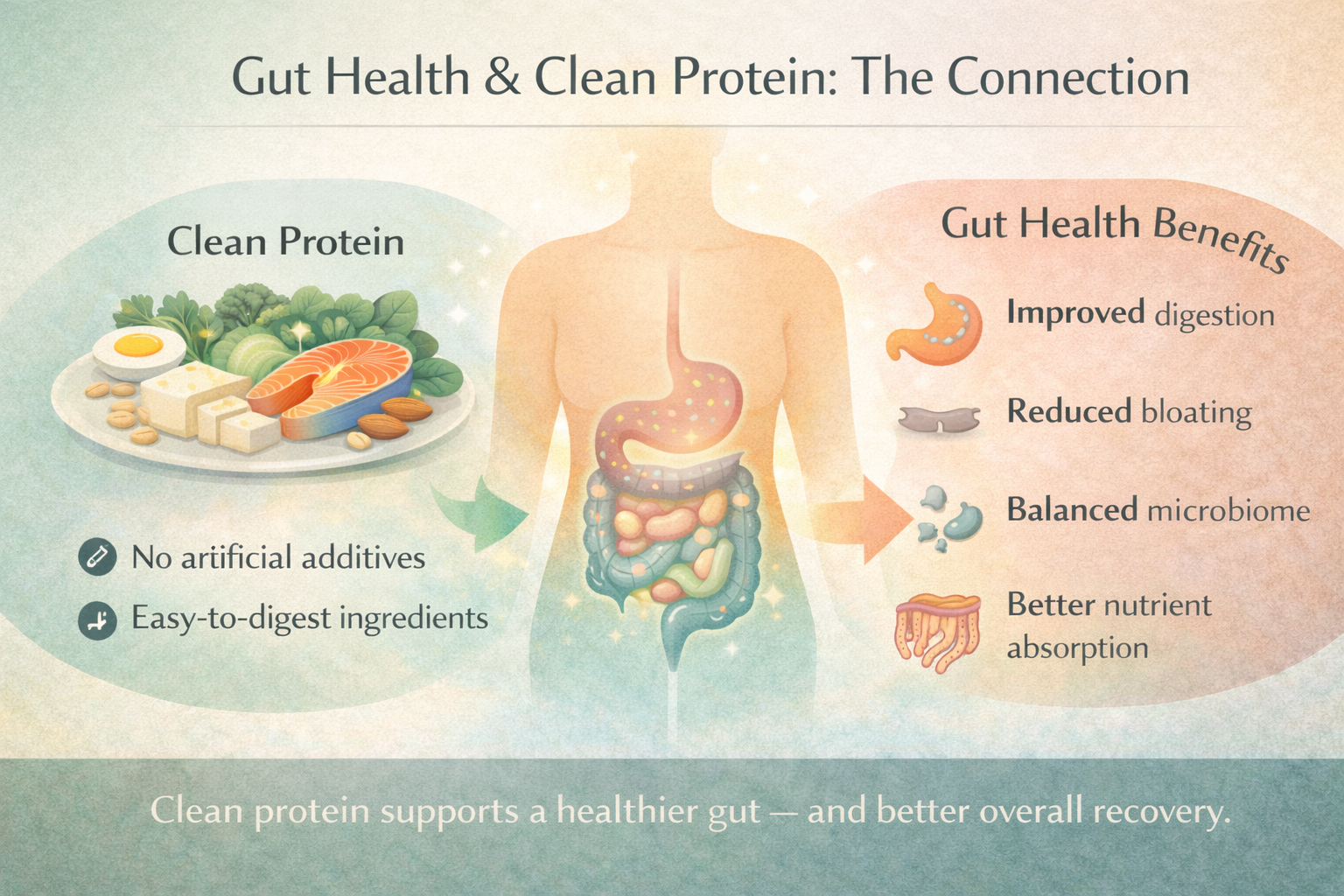 Clean Protein And Gut Health: What Athletes Need To Know