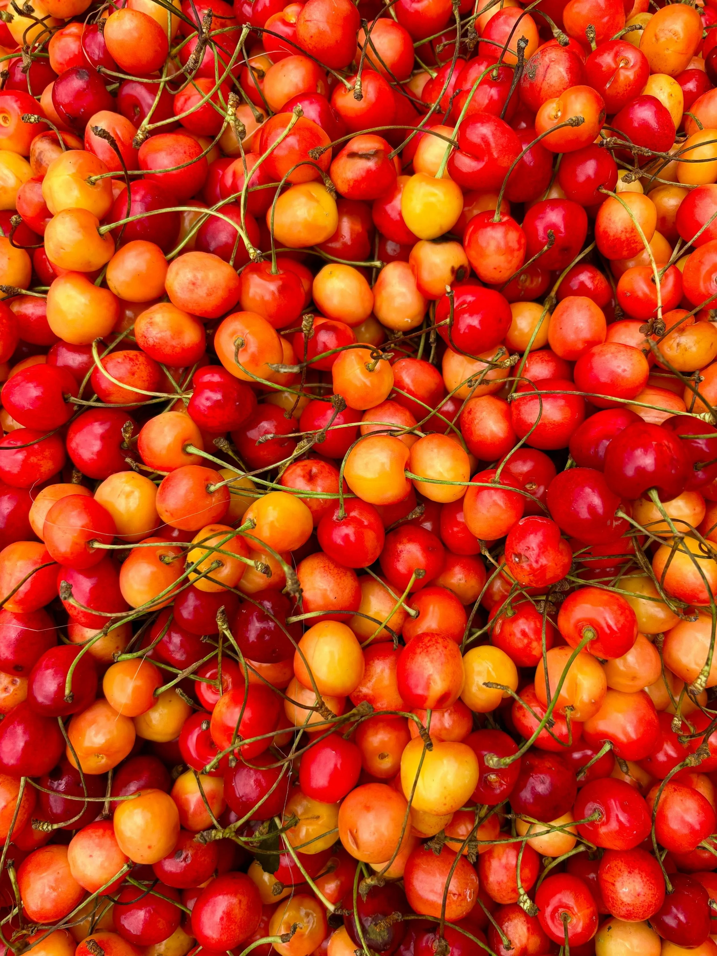 The Role of Vitamin C in Collagen and Immune Health for Busy Dads