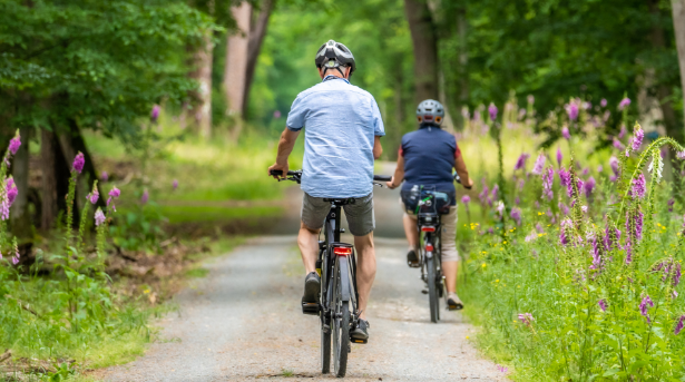 Why Flexible Transportation Matters for Modern Family Lifestyles