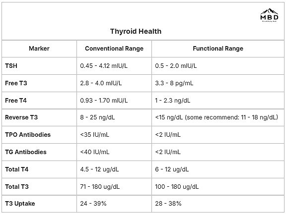functional medicine thyroid blood lab values and markers