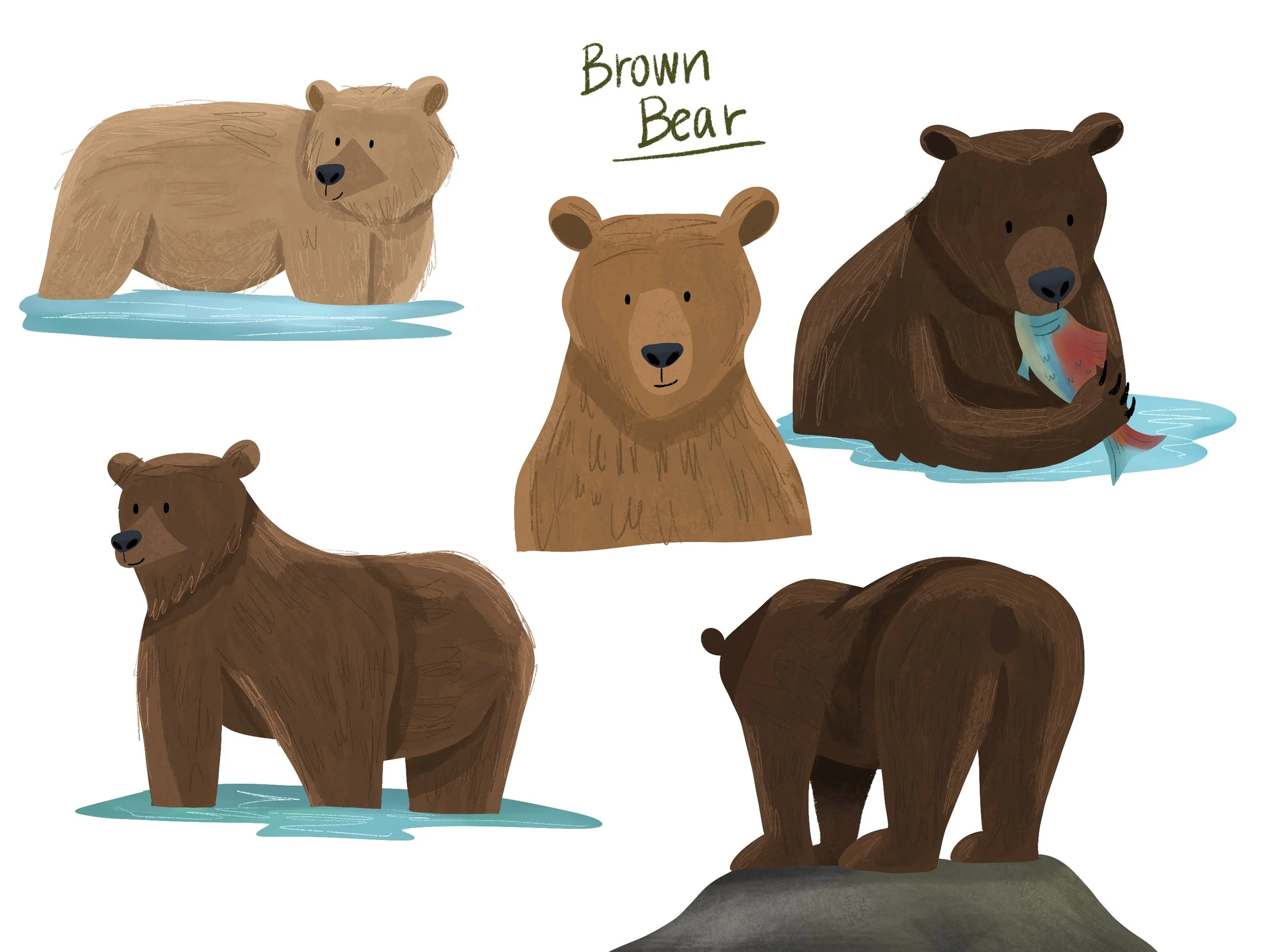 Brown_Bear_.jpg