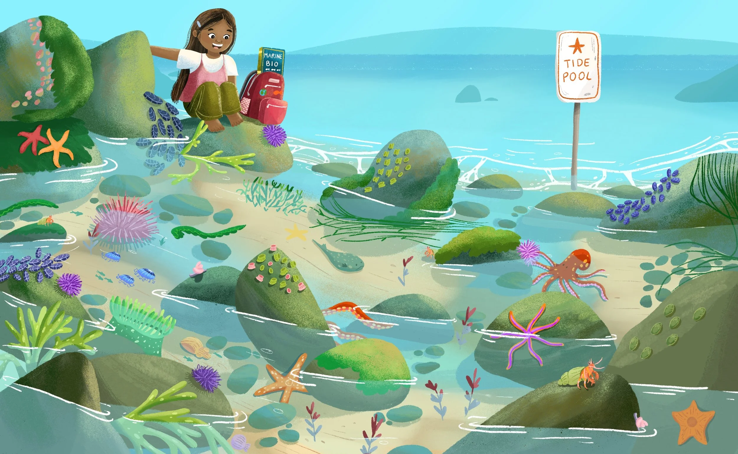 Tide_Pools.jpg