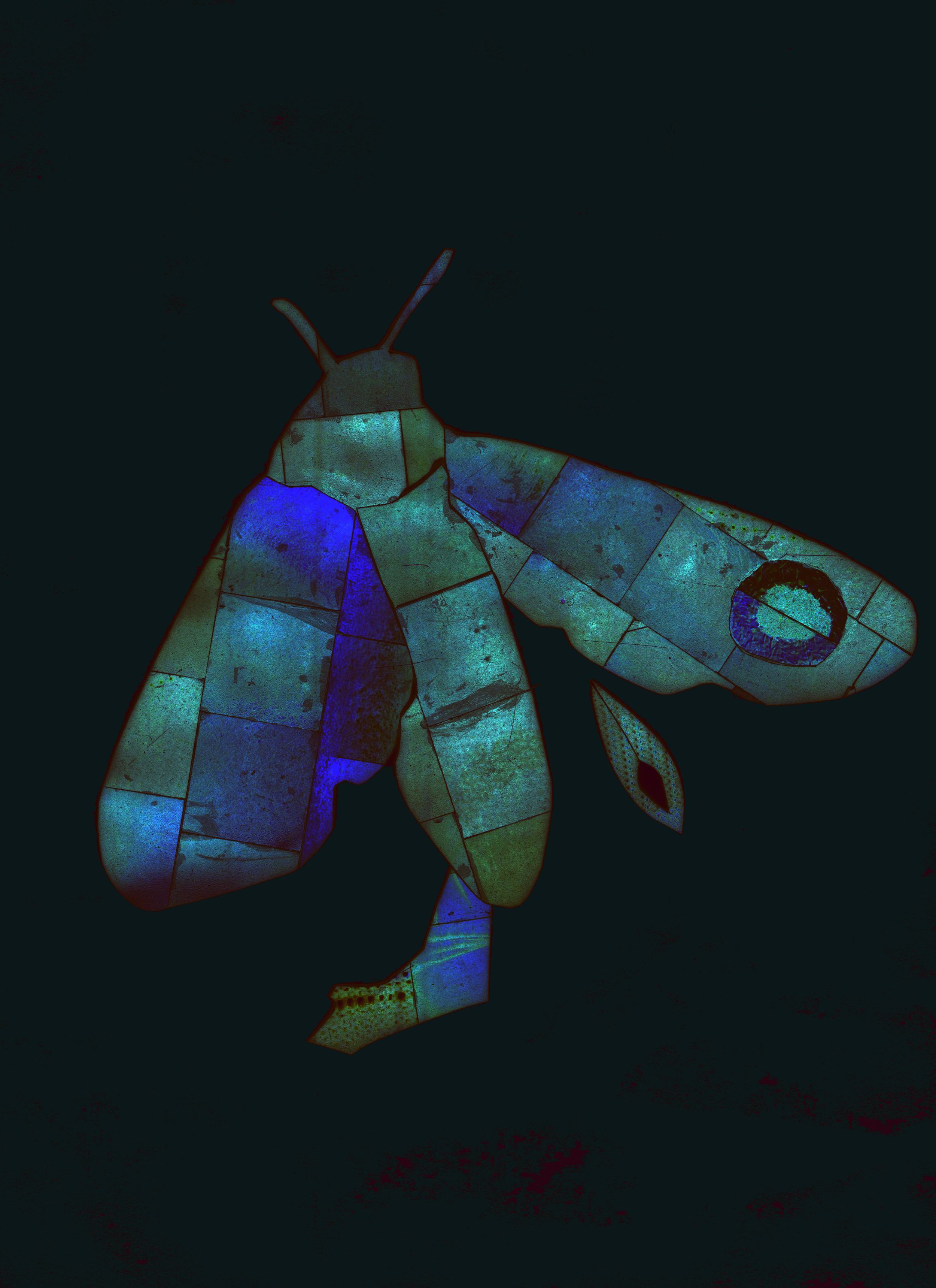 Insphoto.png