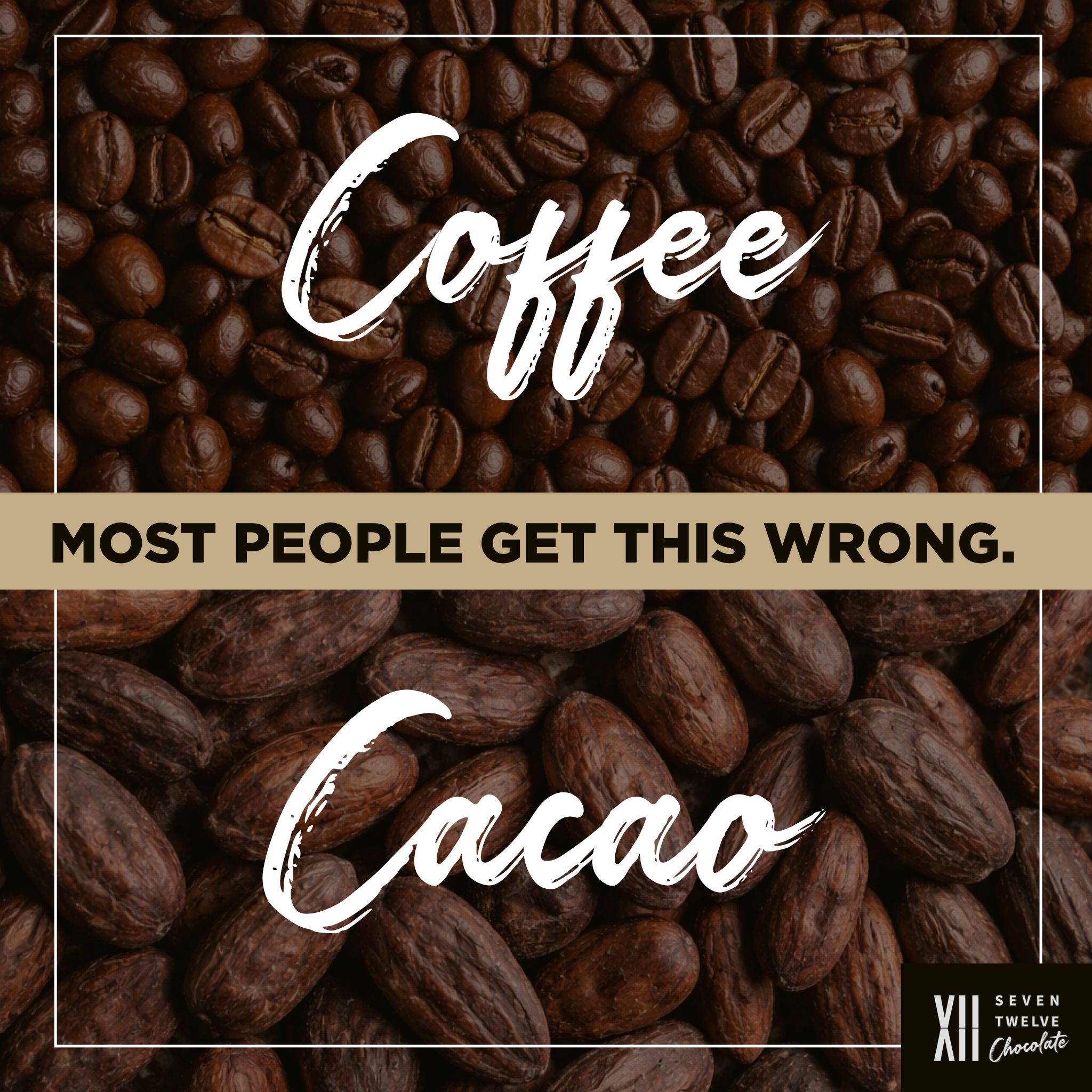 Coffee Beans vs Cacao Beans