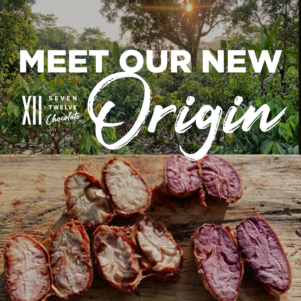 Meet Our Newest Cacao Origin: Colombia