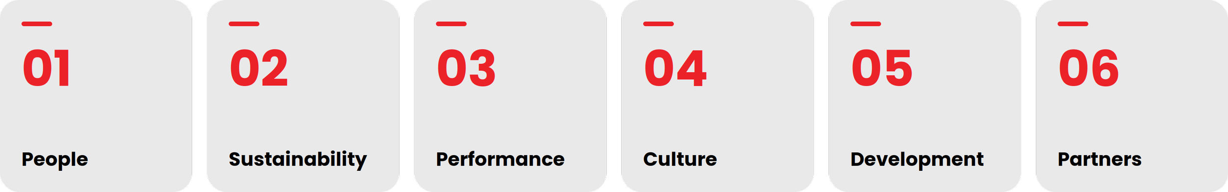 A slide from a presentation titled '06 Partners' with numbered sections from 01 to 06: People, Sustainability, Performance, Culture, Development, Partners.