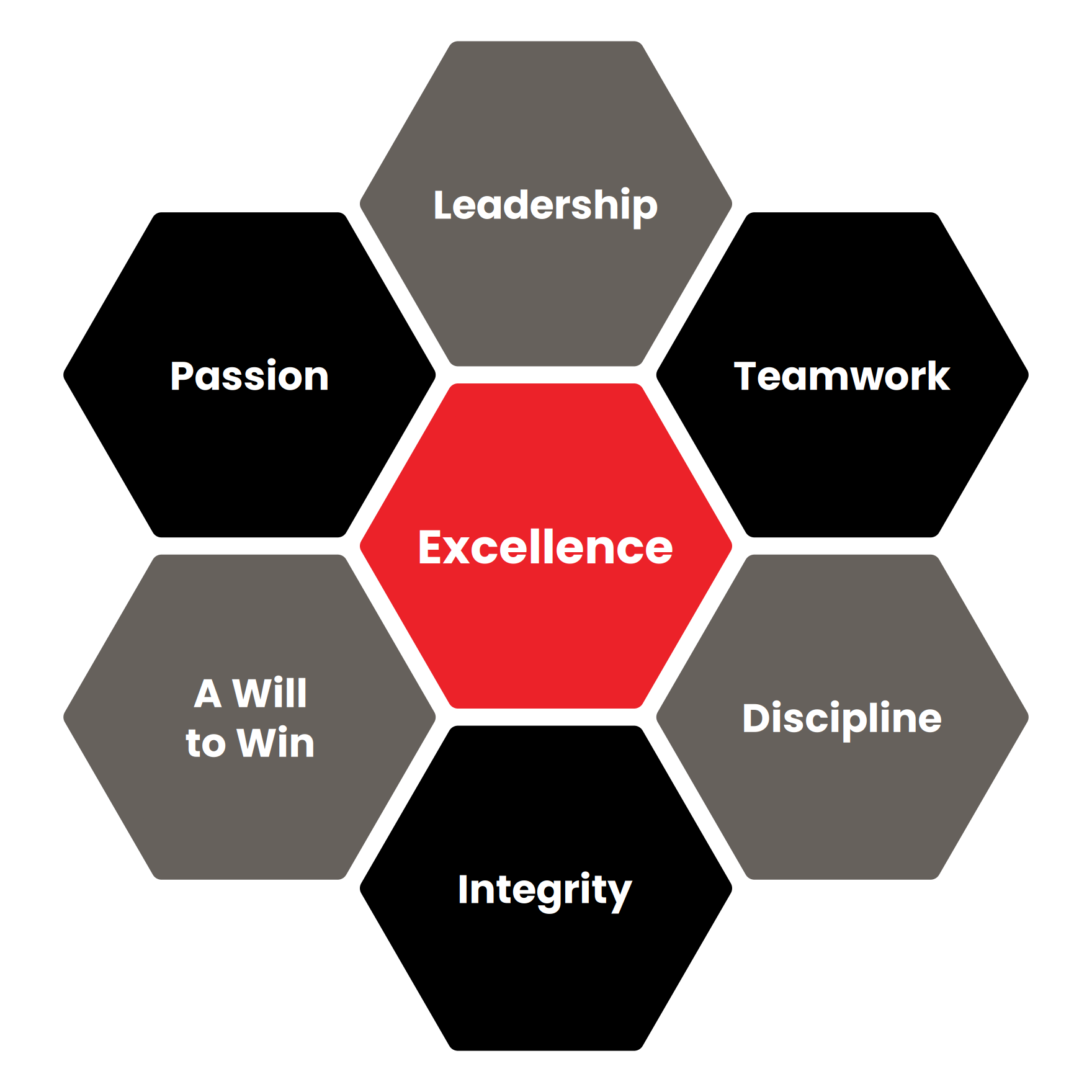 A diagram with hexagons labeled Leadership, Passion, A Will to Win, Discipline, Integrity, and Teamwork, with Excellence in the center.