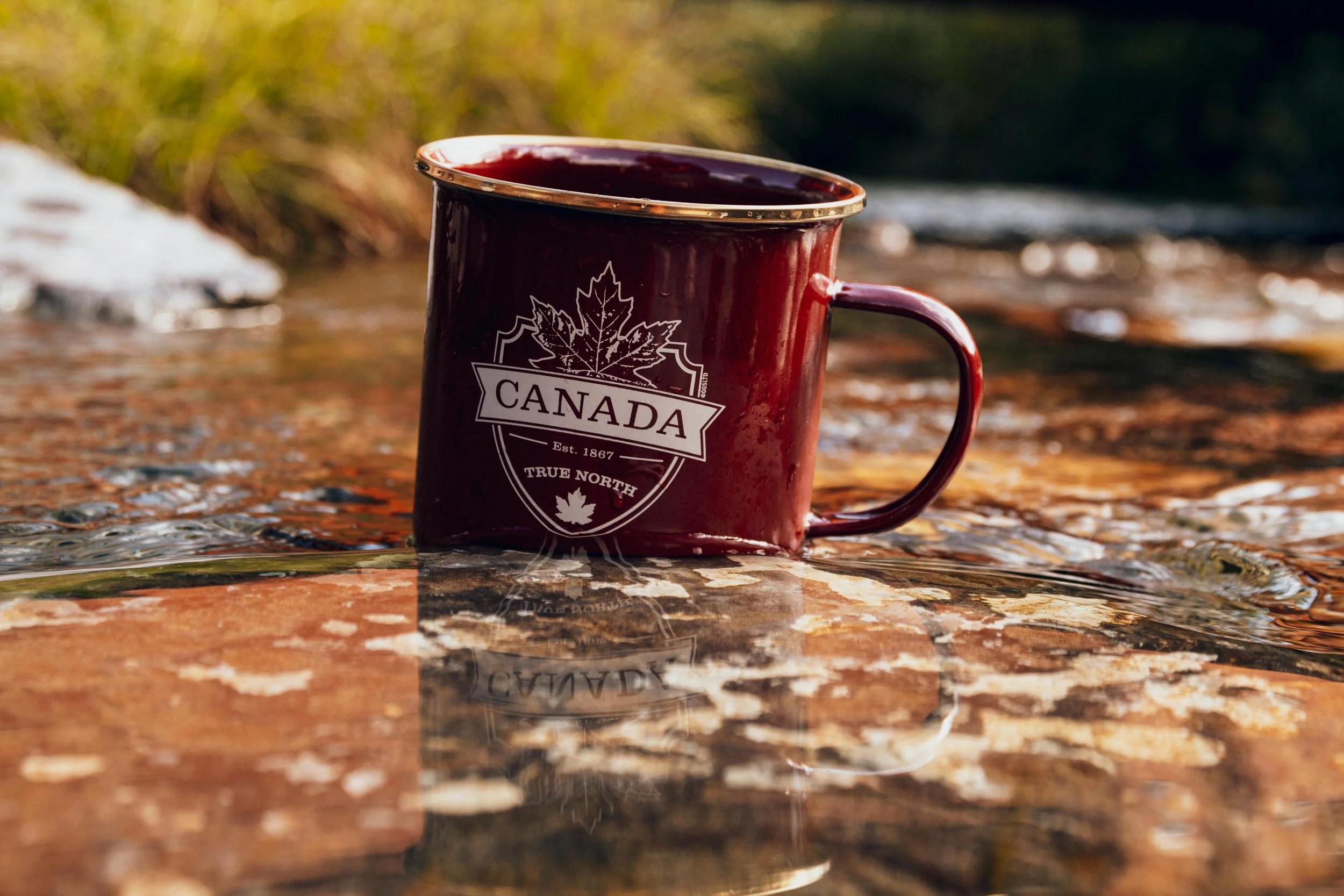 A National Strategy to Strengthen Canada Through Tourism