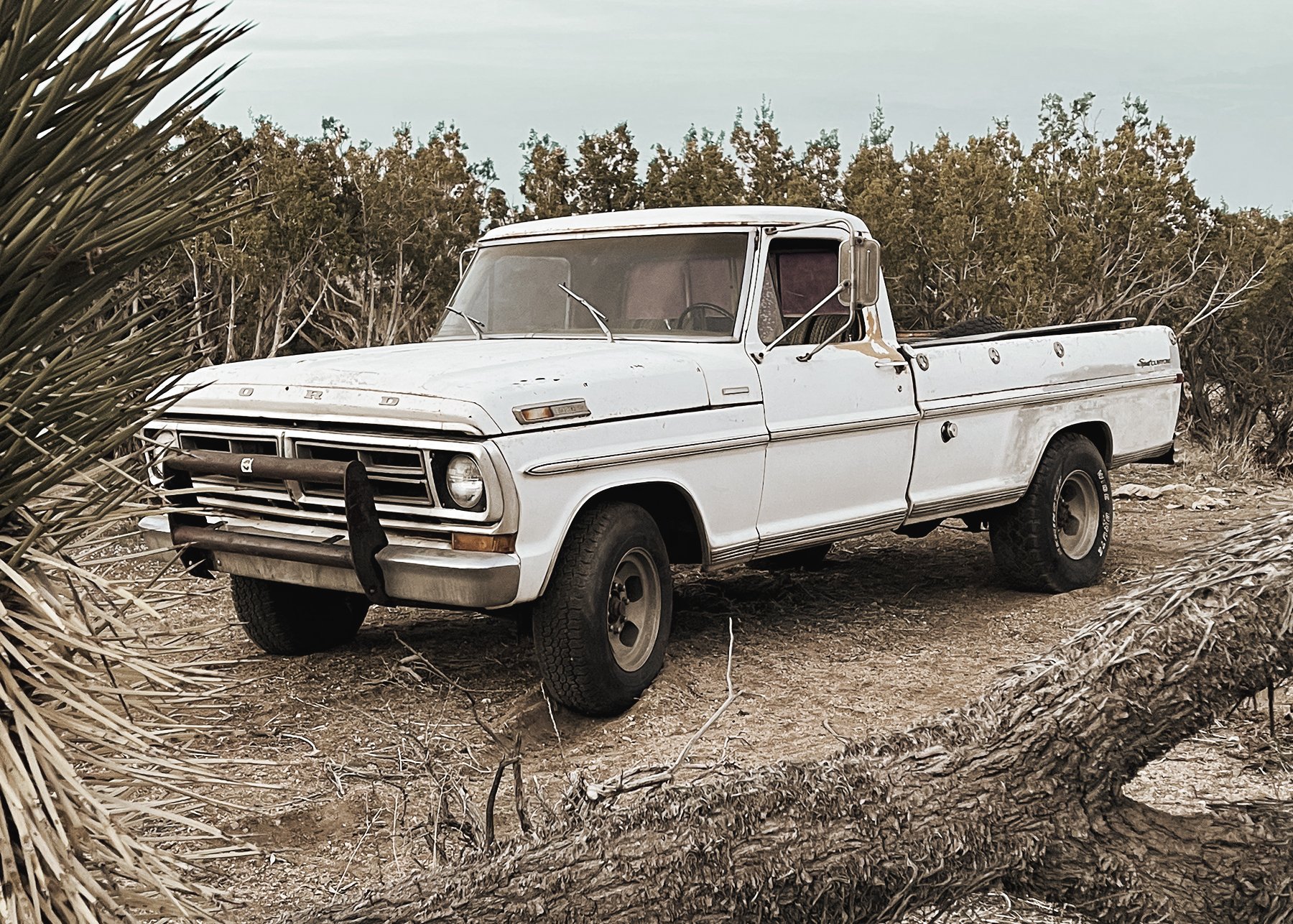 Ford1.jpg