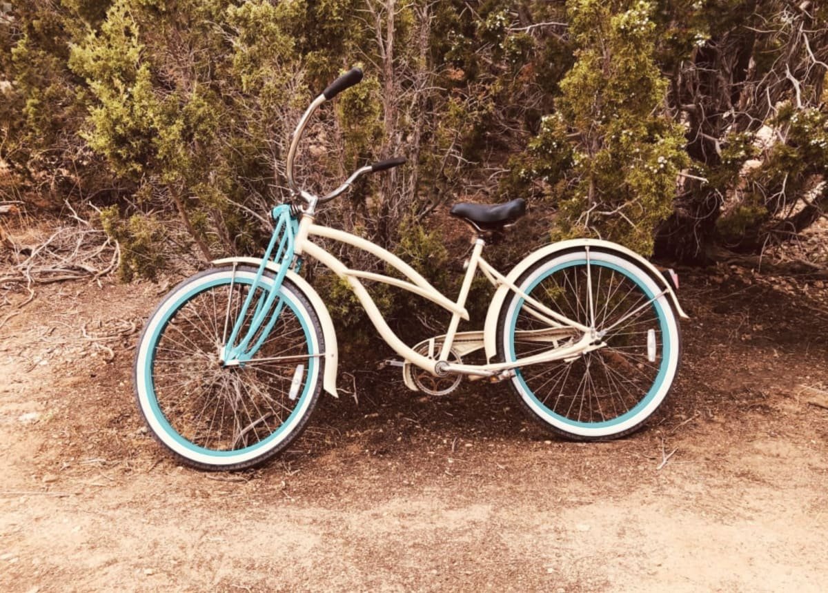 Beach Cruiser Bicycle - Photography Prop at our 5 Acre Desert Ranch, one hour from Los Angeles