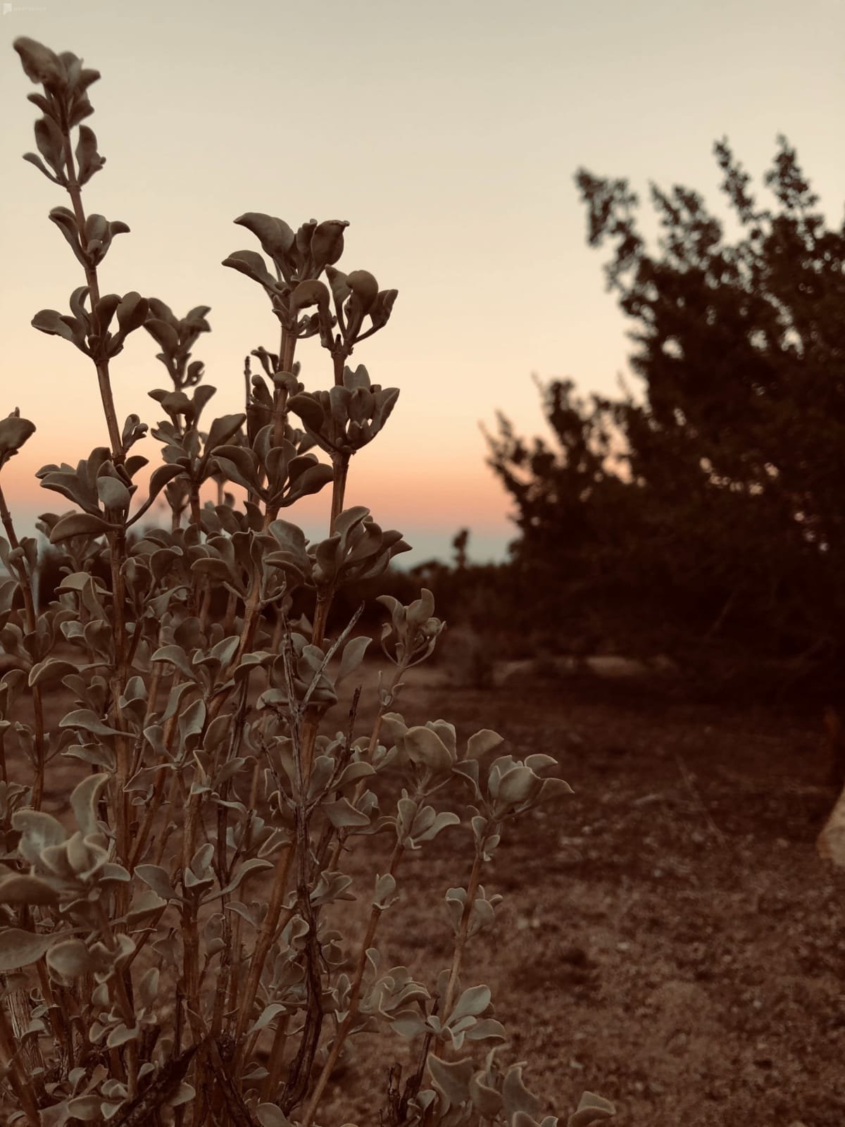 Desert Landscapes for Fashion Photography - Los Angeles