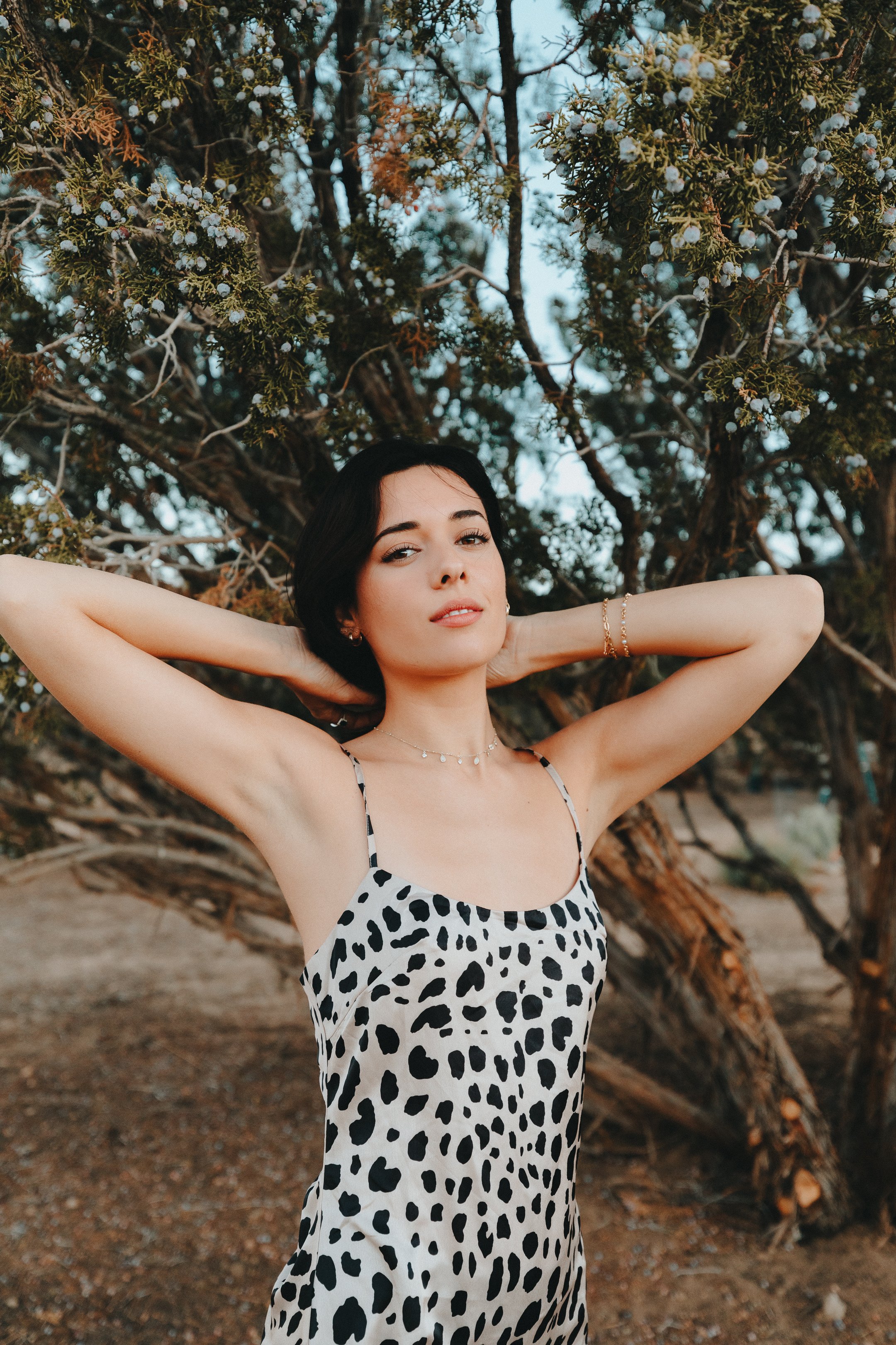 Boho Natural Landscape - Photography Set at our 5 Acre Desert Ranch, one hour from Los Angeles