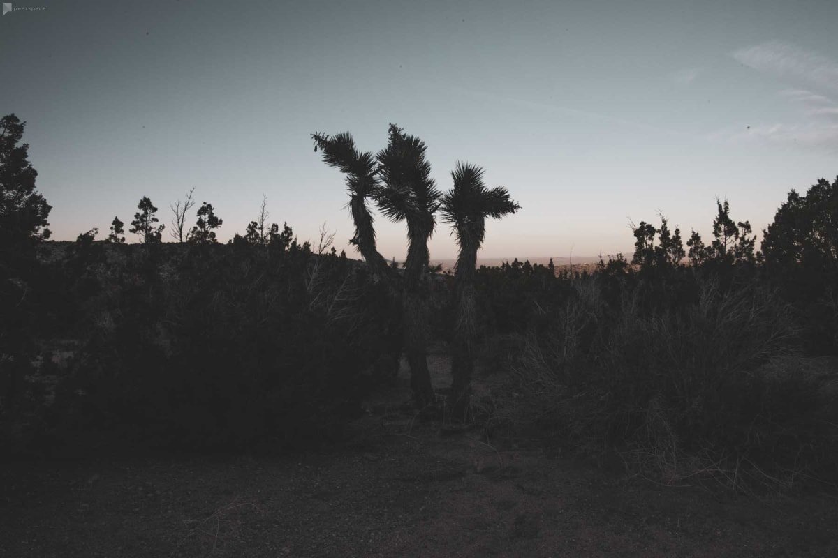 Desert Landscapes for Fashion Photography - Los Angeles