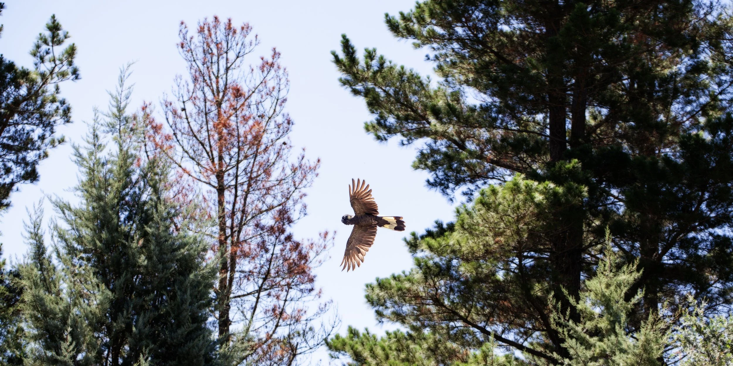 Payday Super: What Employers Need to Know About the Draft Proposal