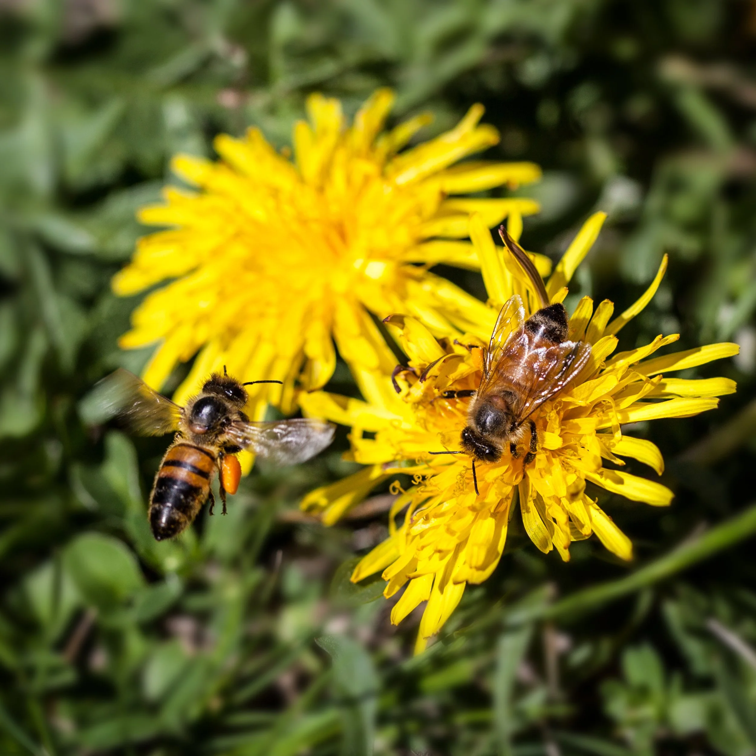 Back to Business: Key Tax Obligations to Stay on Top Of After the Holiday Break