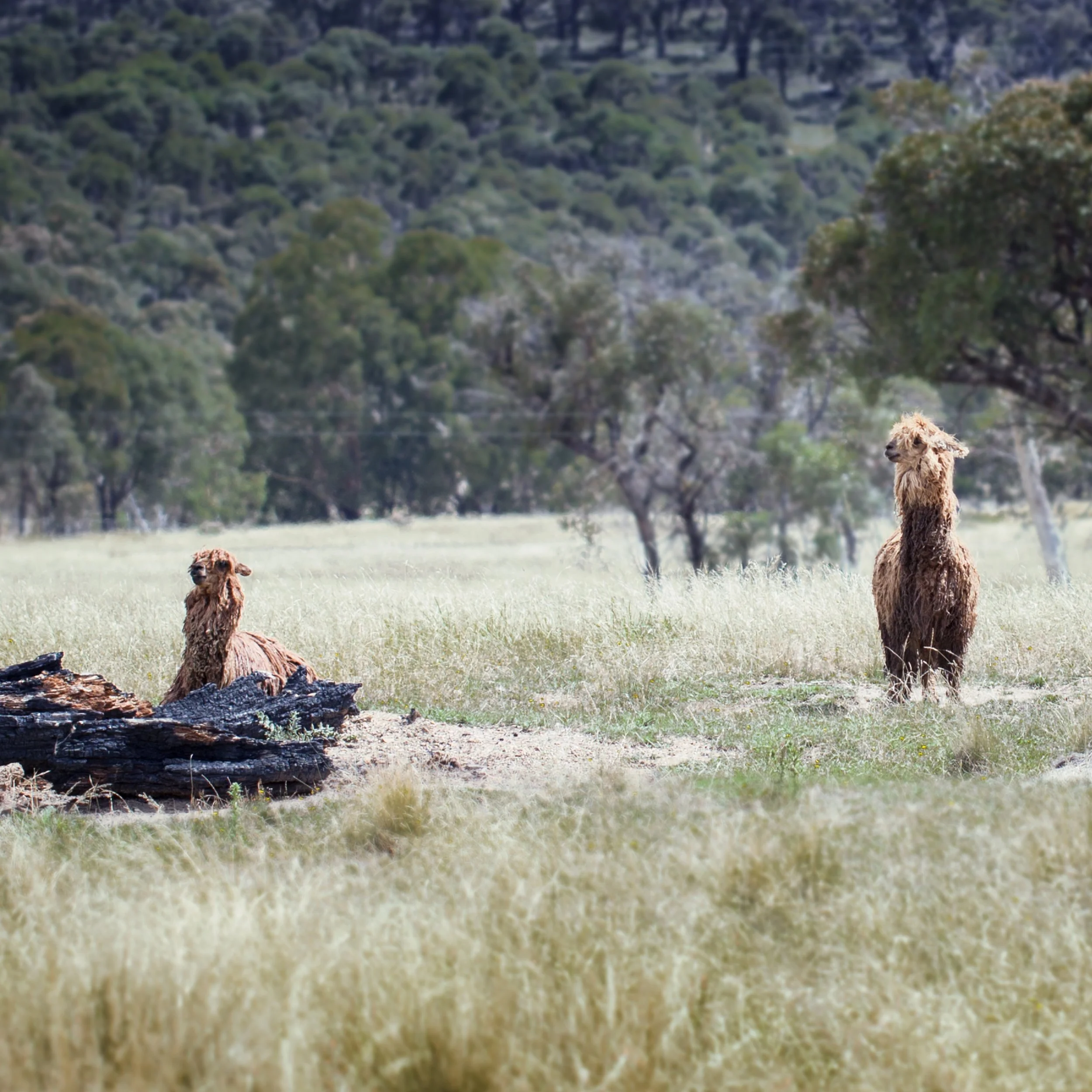 Payday Superannuation: What It Is, and Why It Matters