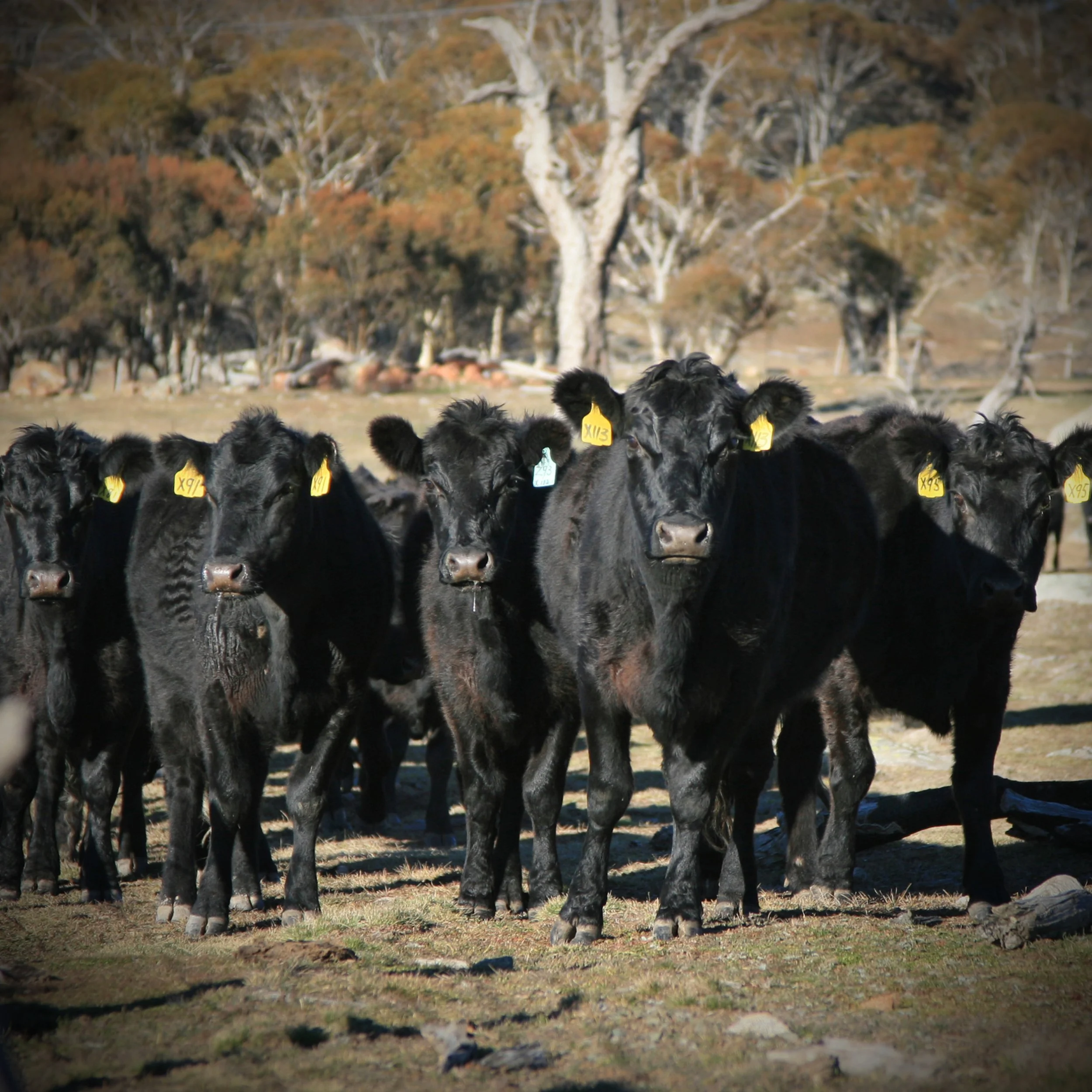 Revisiting Your Business Plan in the New Year: Preventing Issues Before They Arise