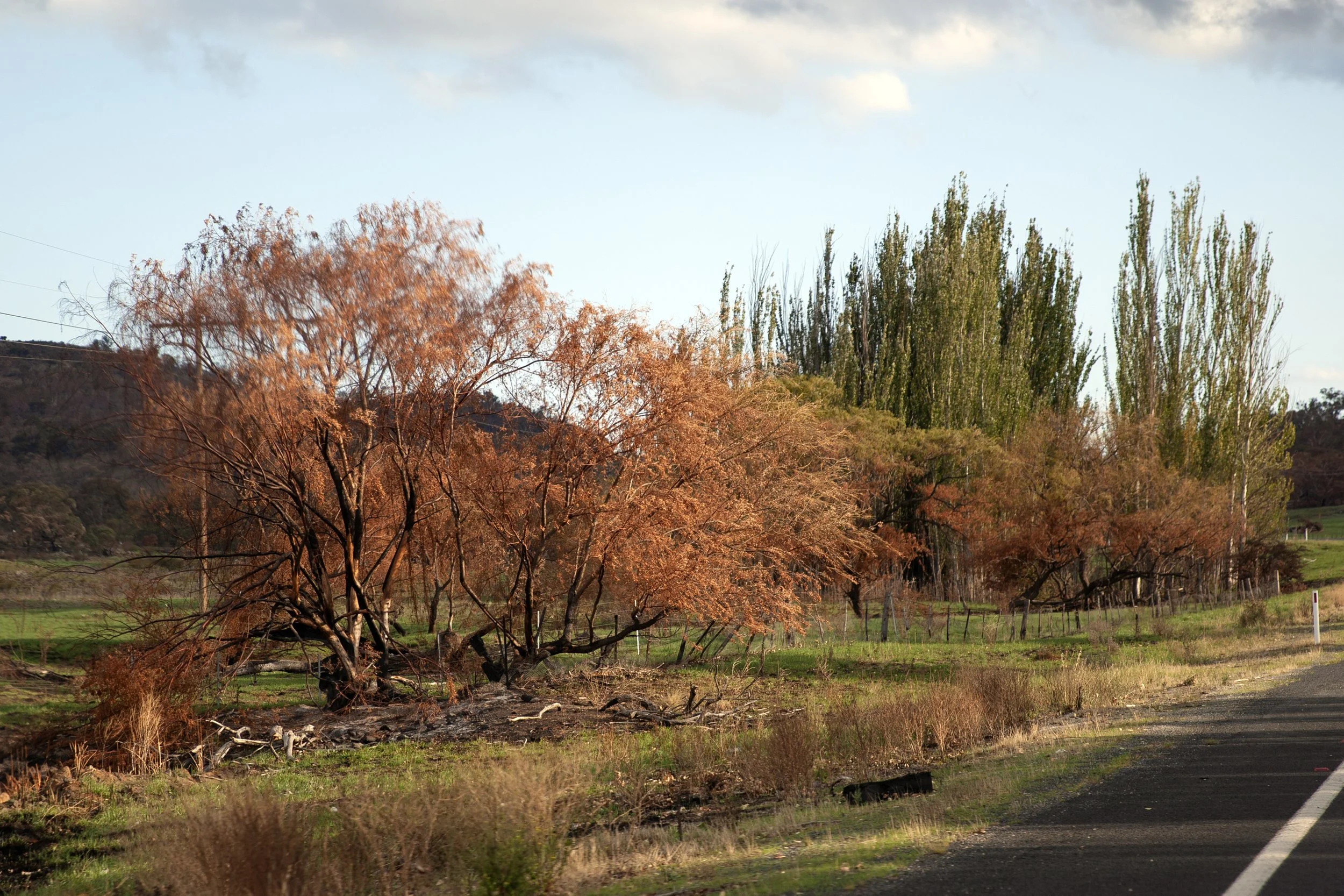 Forgotten Digital Assets Are Still Important At Tax Time!