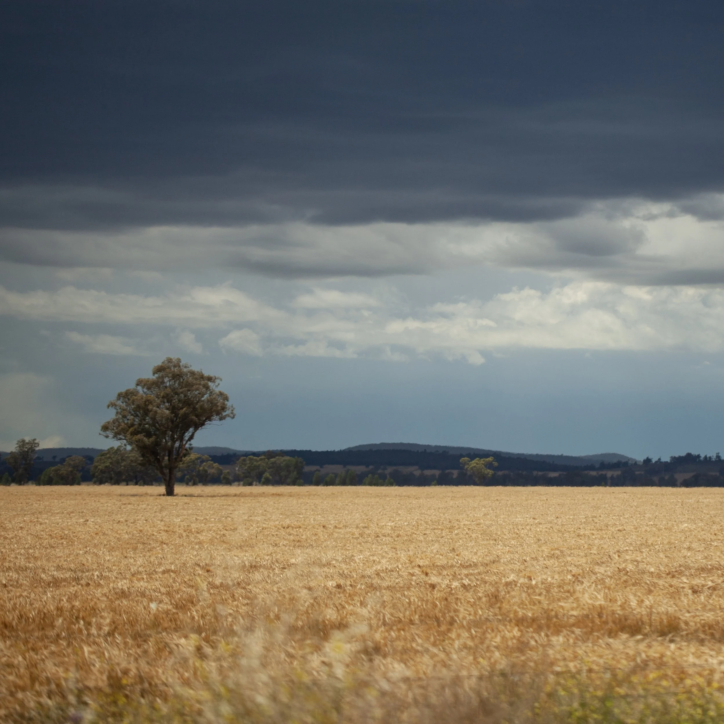 Do You Need To Lodge An FBT Return this year?