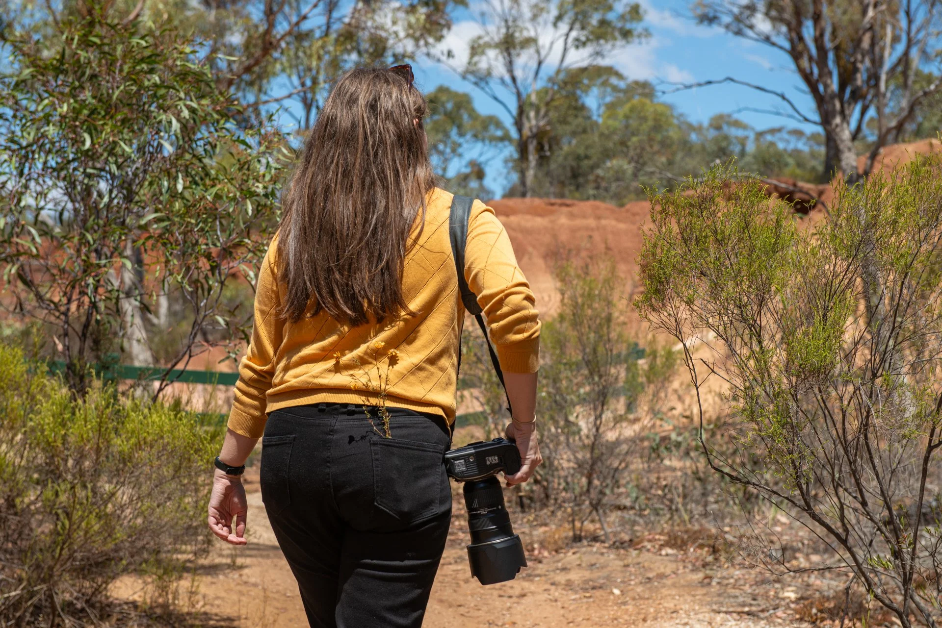 Why I Came Back to Photography Full Time (and why it’s a risk..)