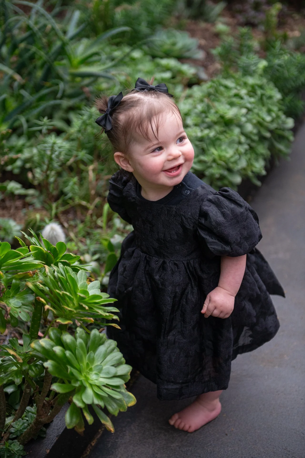 first birthday party toddler