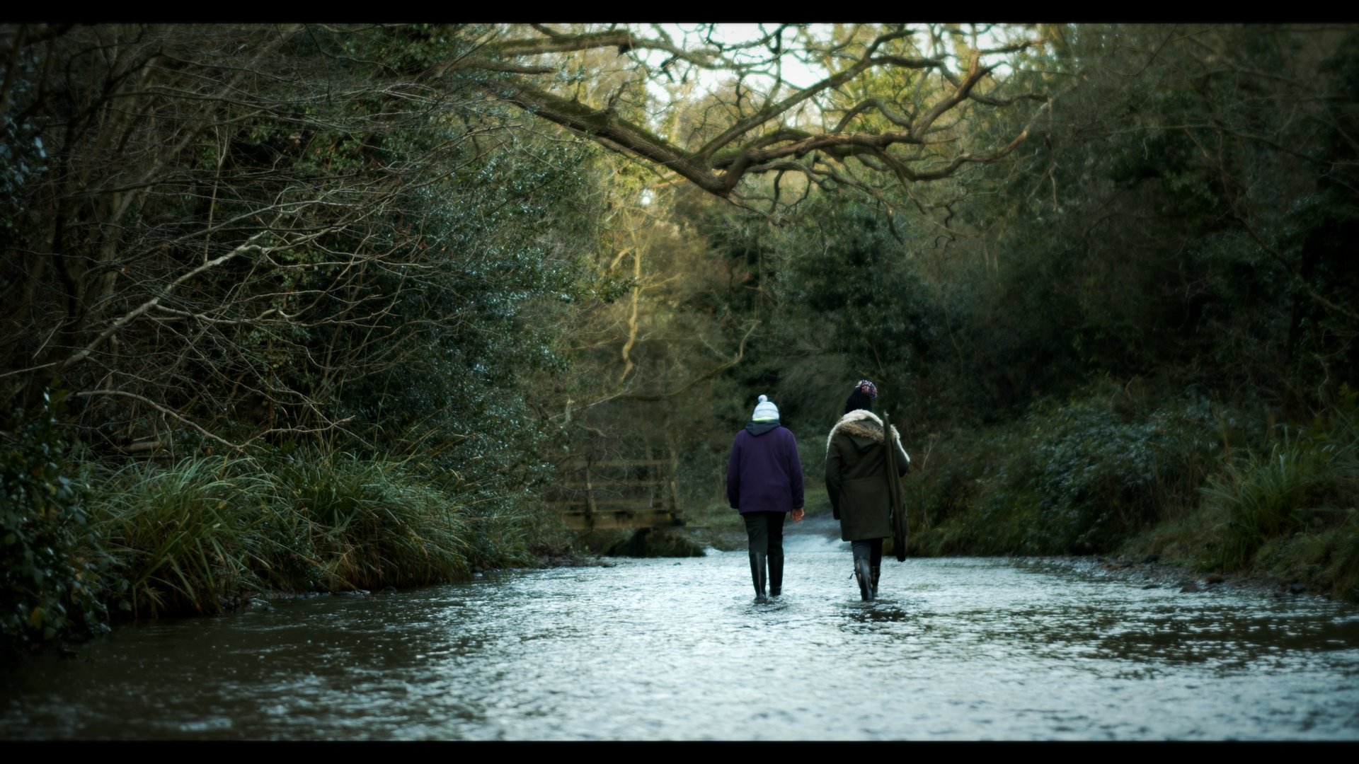 Bee Sting (2019) - Short Film - Role: Writer/Director