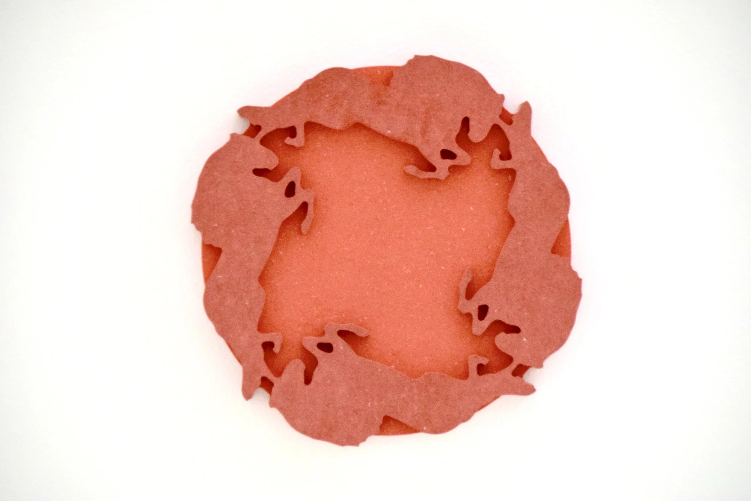 clemens tschurtschenthaler