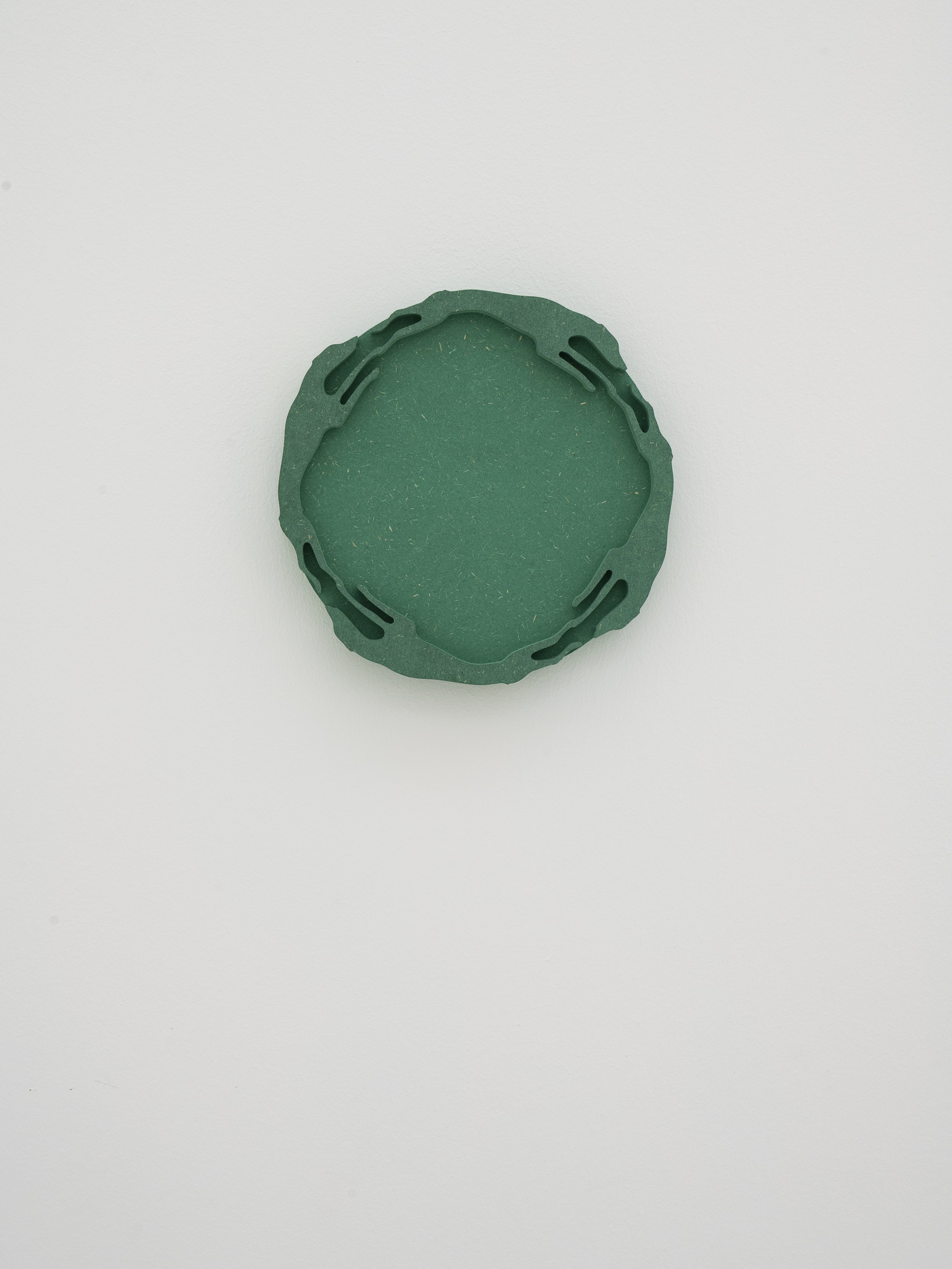 fig18 - Clemens Tschurtschenthaler; Tondo Dog Race; 2025; Kunstraum Remise, Bludenz (AT); exhibition view ©christa-engstler.at.jpg