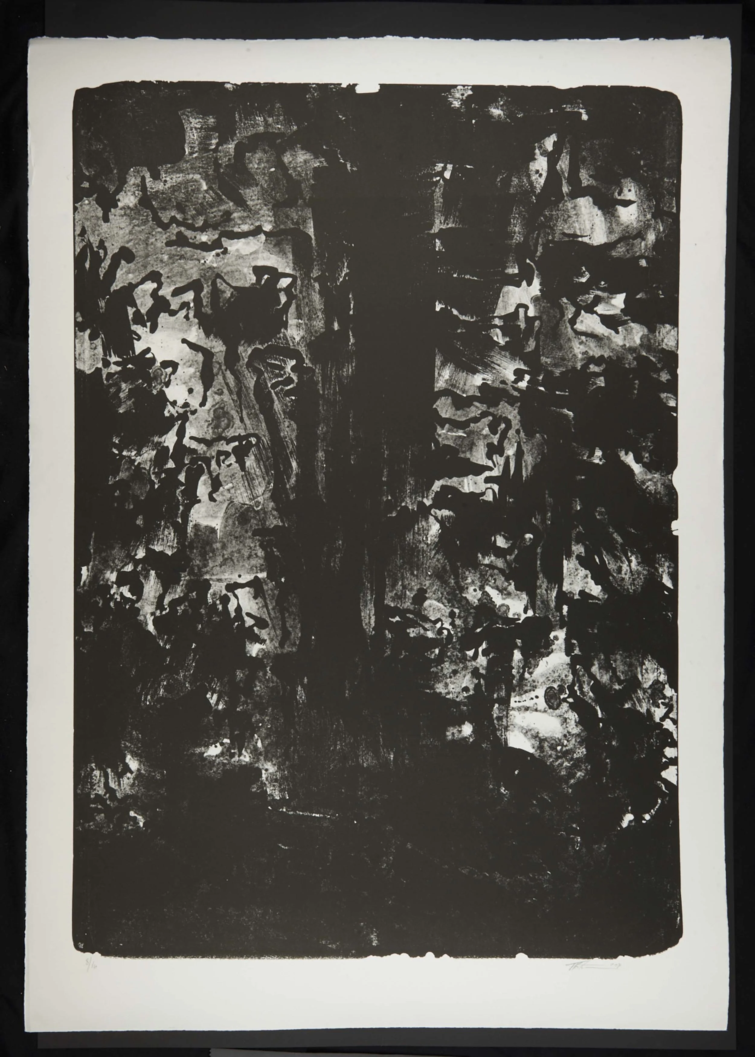 295-Trondur Patursson 09 81 x 114.jpg